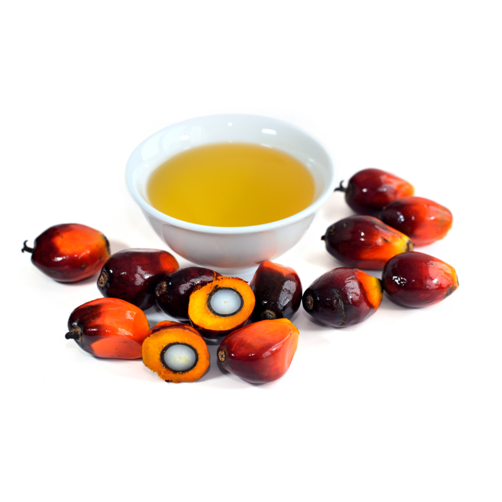 palmes oil palmes oil